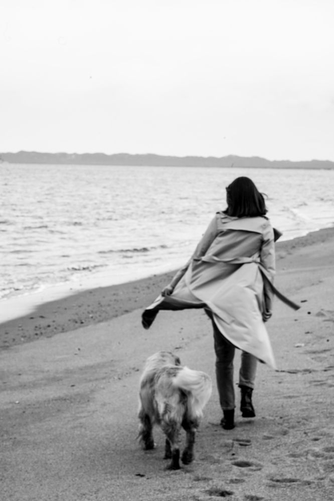 Верный друг