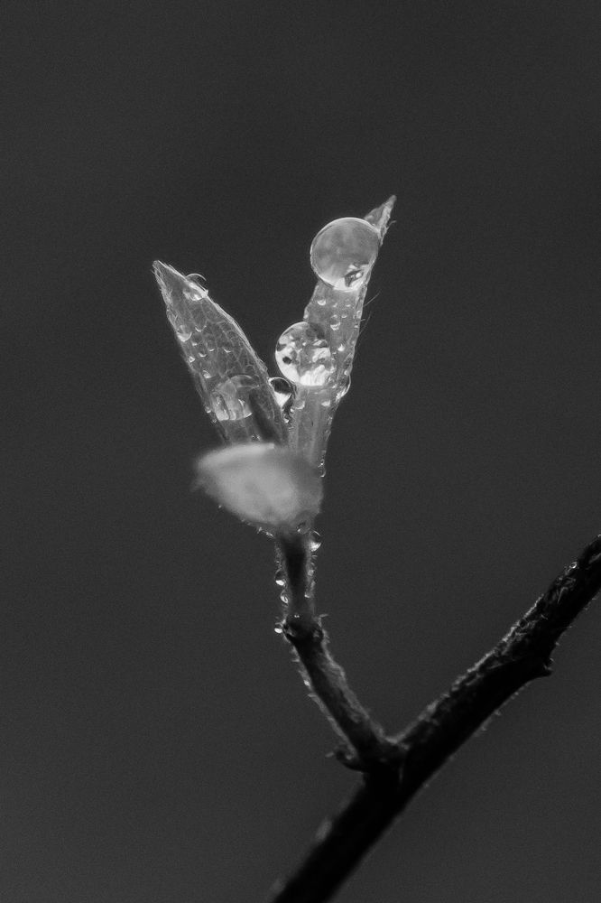 Photograph by Мария Тёмкина