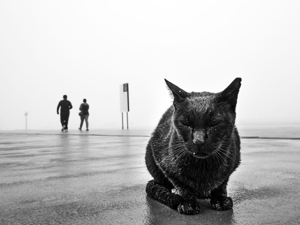 Photograph by TITTU SHAJI THOMAS