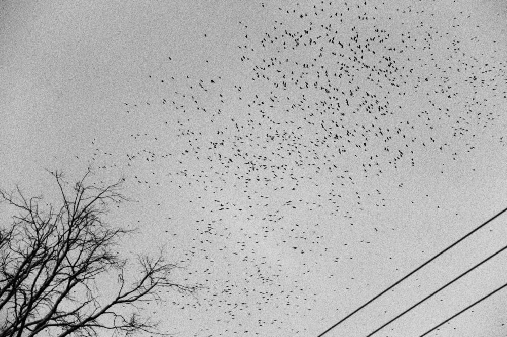 Фотография автора Анна