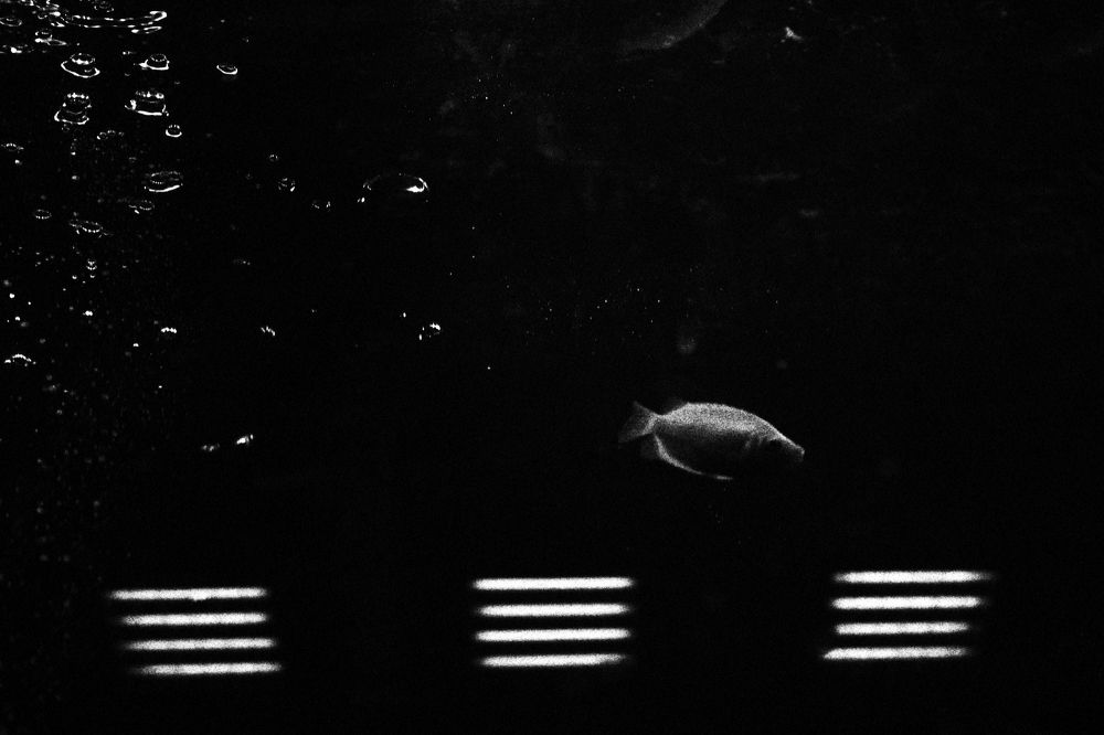 Фотография автора Анна