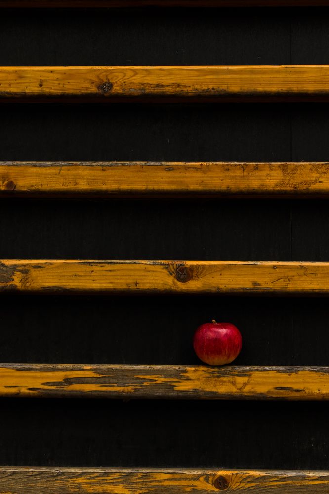 Photograph by Мария Тёмкина