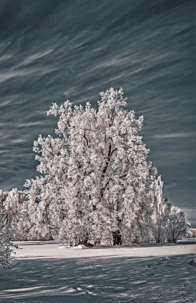 Фотография автора Александр Сальников