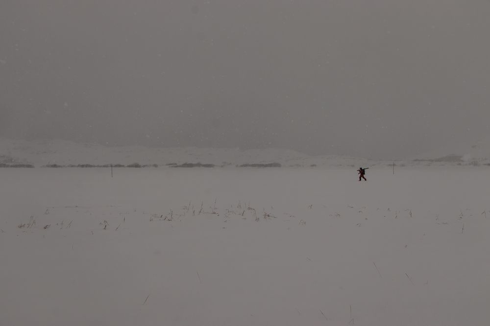 Photograph by Мария Тёмкина