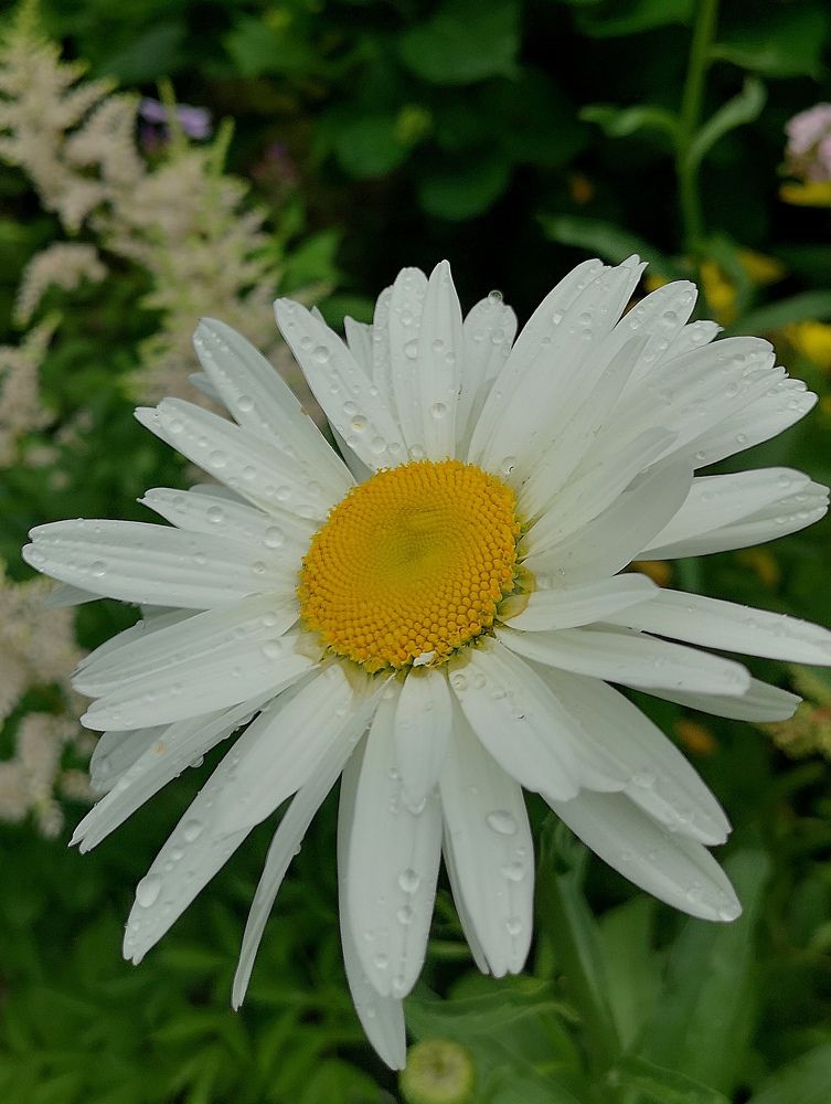 Photograph by Екатерина Кузьмина