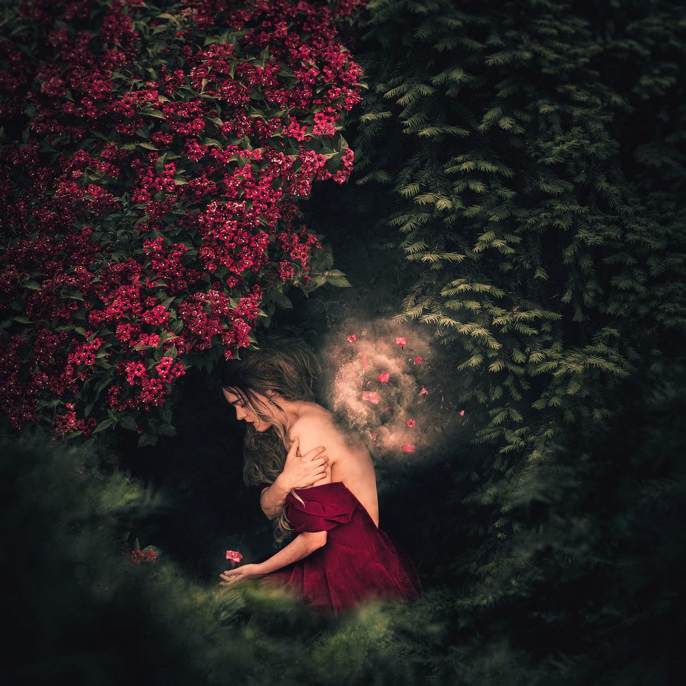 Photograph by Darago Zsófia