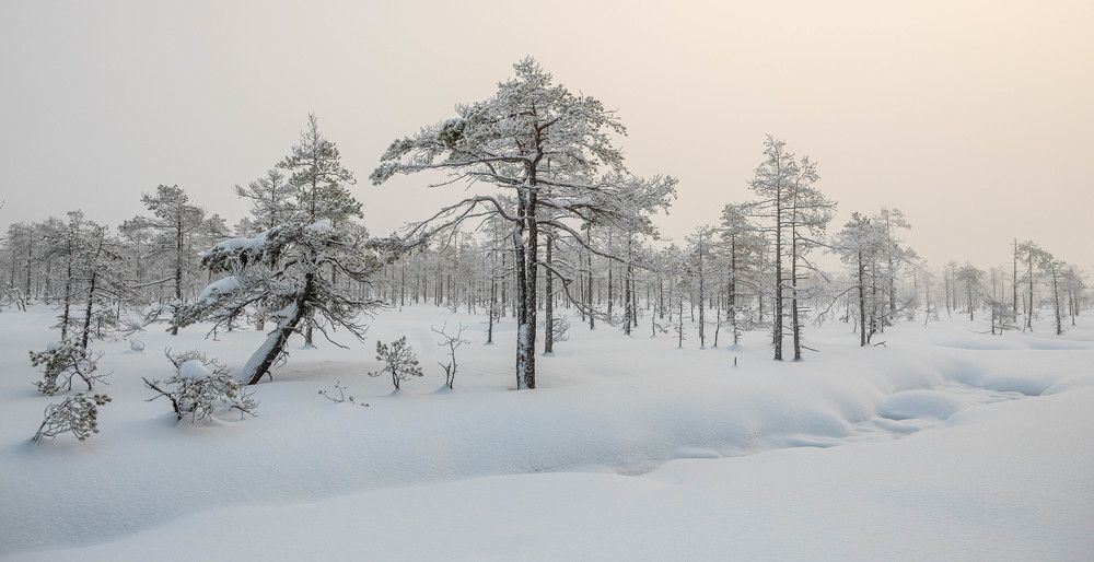 Photograph by Danil Husainov