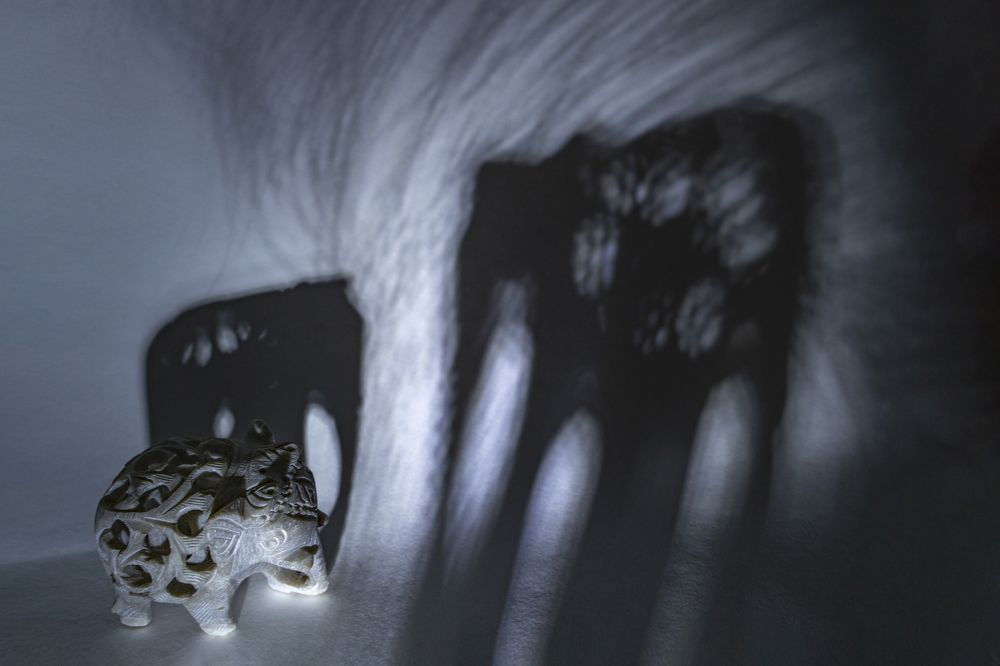 Photograph by Татьяна Богомазова