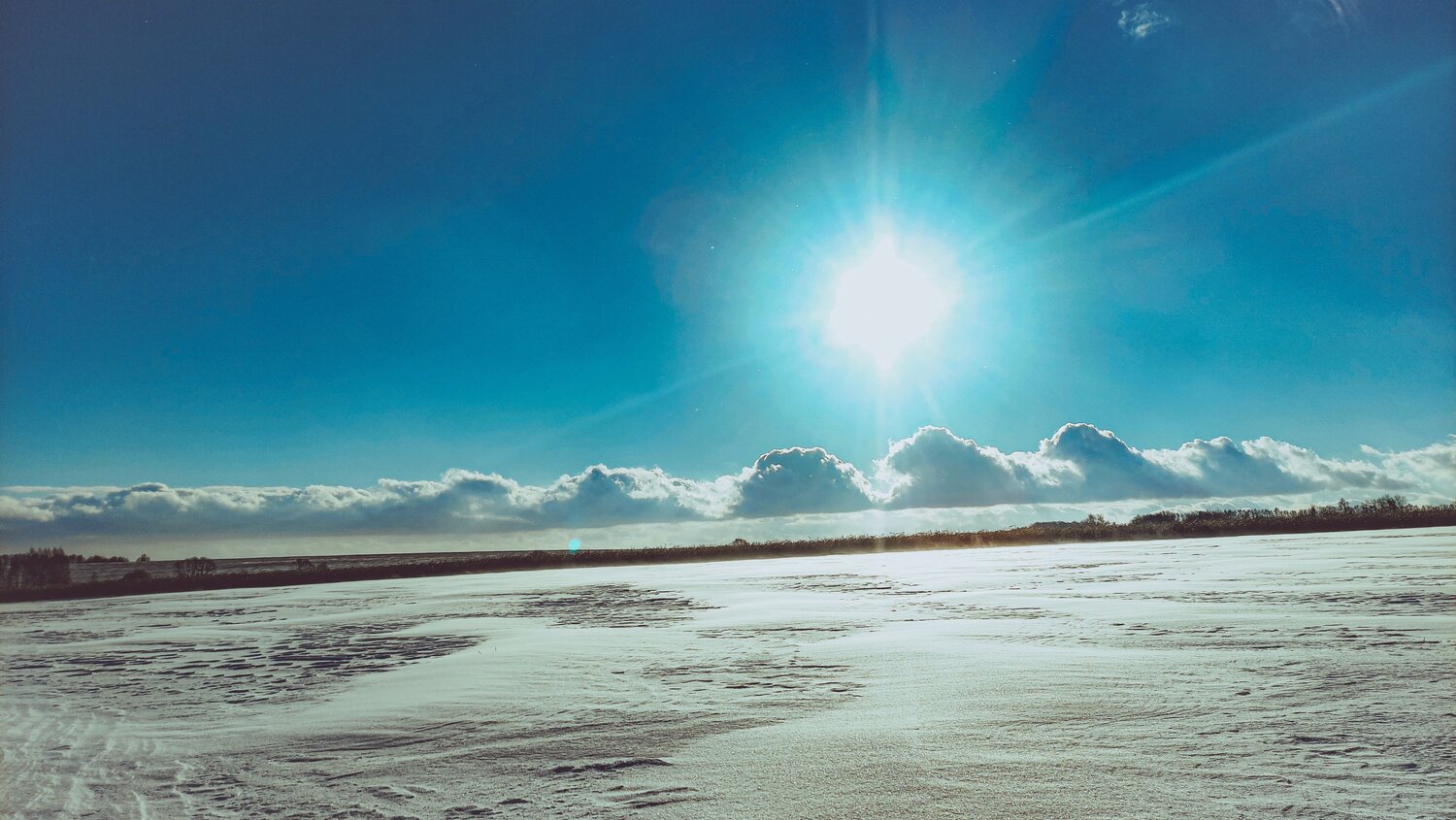Photo #7386842