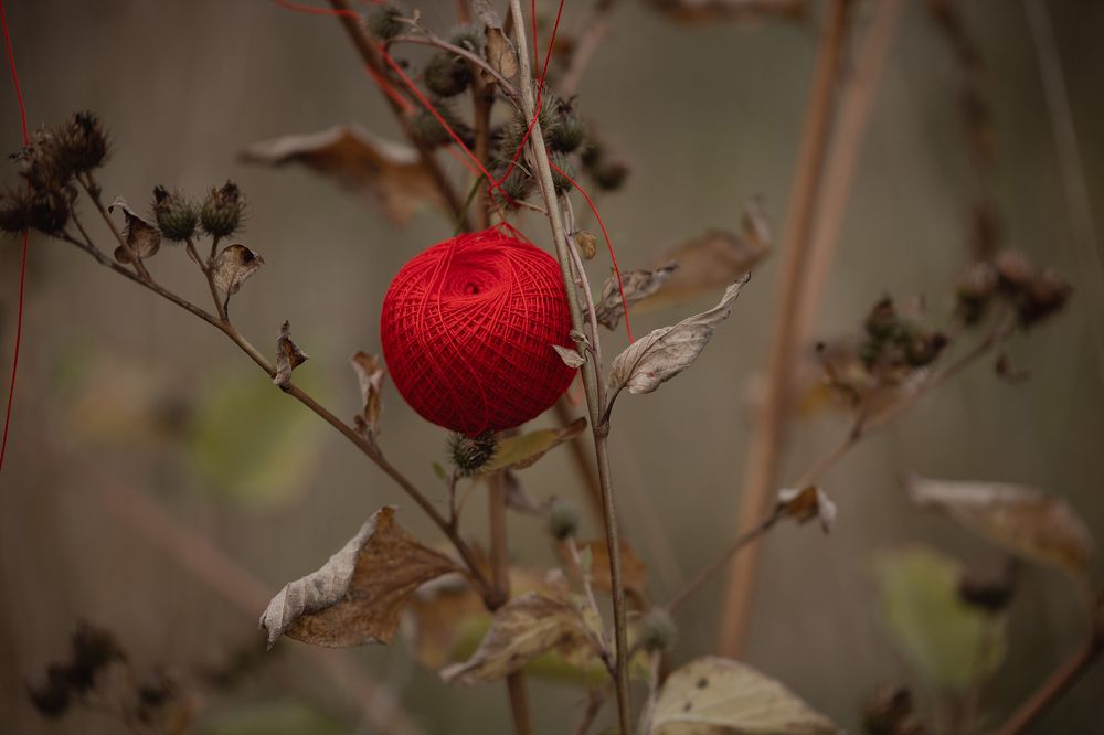 Photograph by Денис Кузьминов