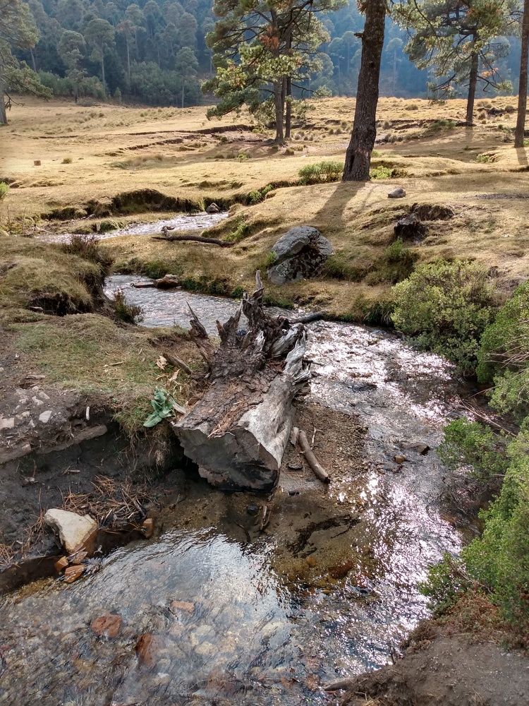 Photograph by José Luis Mendoza Machado