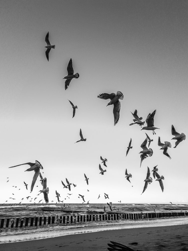 Photograph by Елена Димова