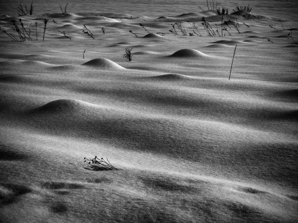 Снежная пустыня