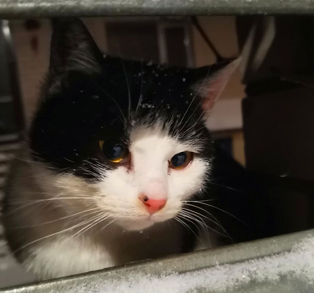 Photograph by Янина Найденцева