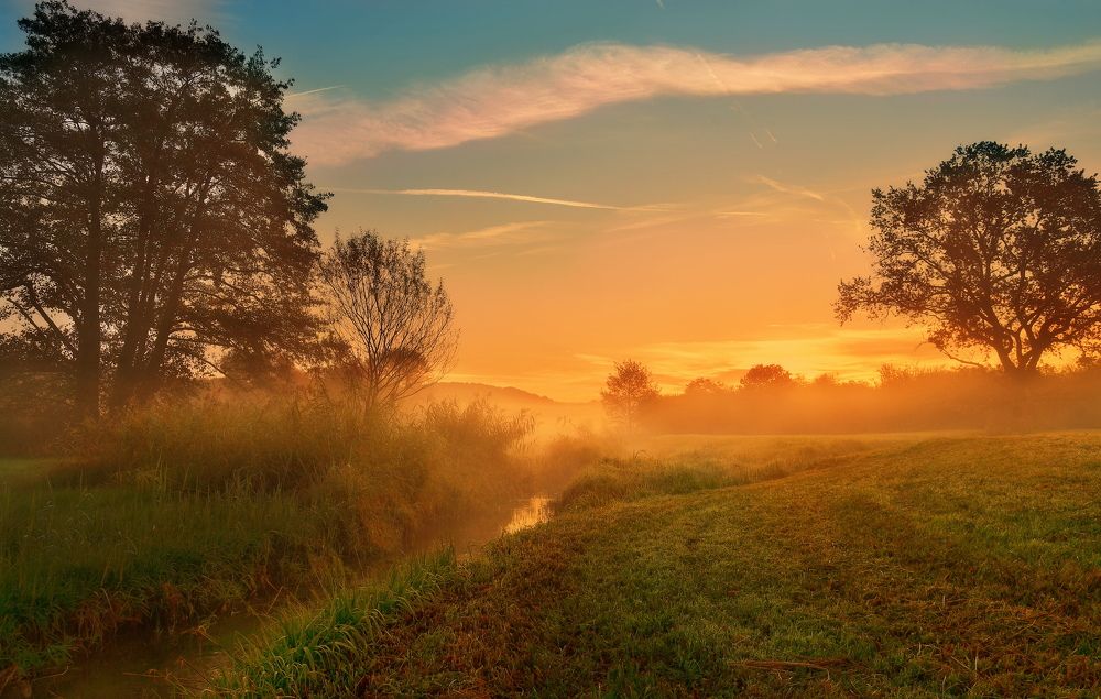 Photograph by Elena Wymann