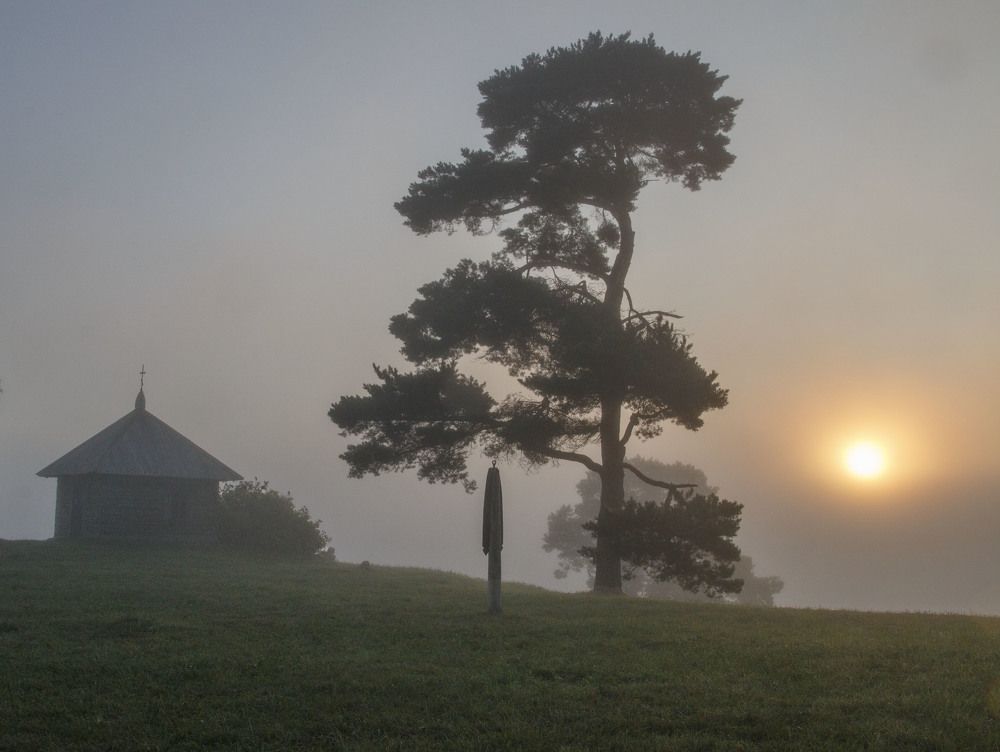 Photograph by Родион