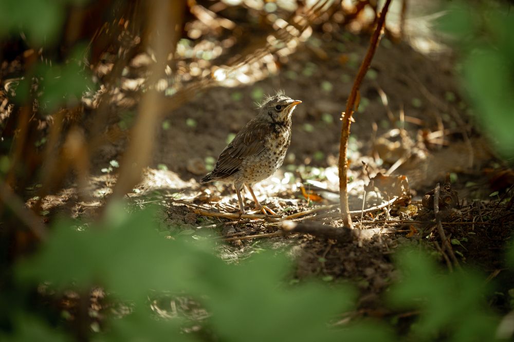 Photograph by Анастасия Петрова