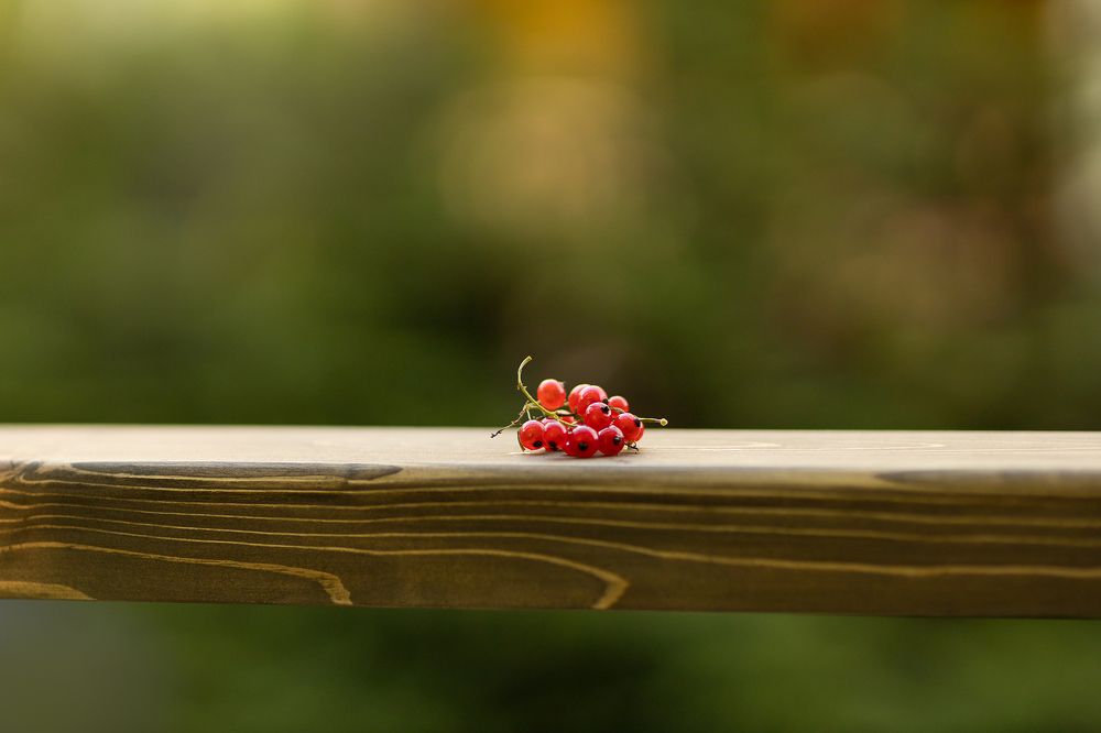 Photograph by Екатерина Каменцева