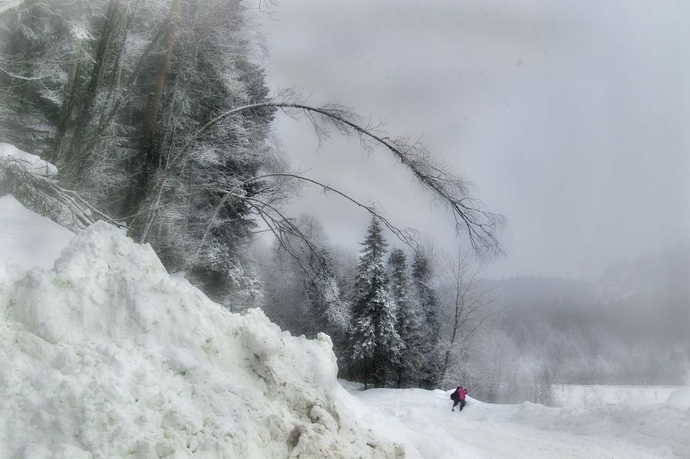 Photograph by  Владимир