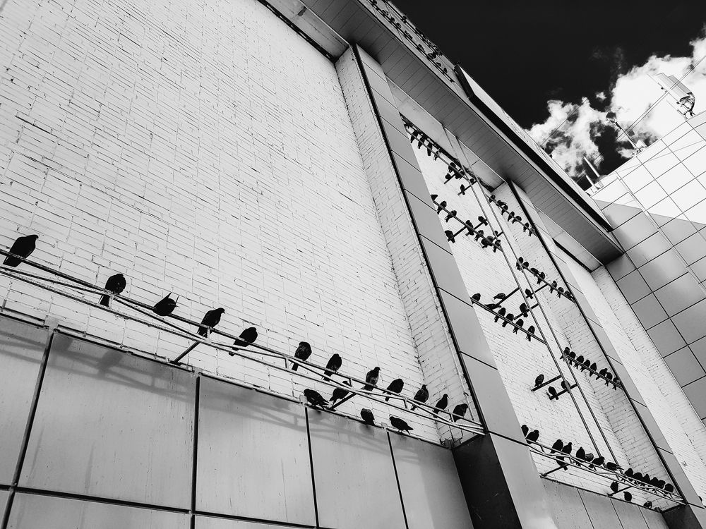 Photograph by Оксана