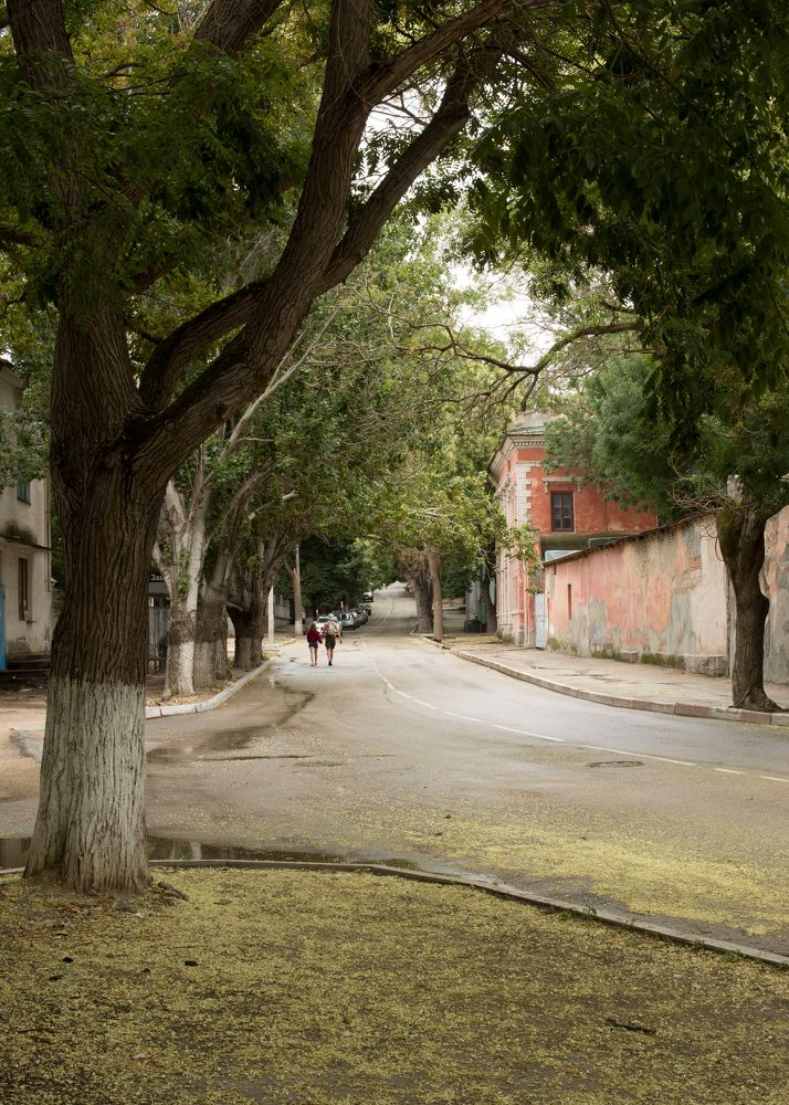 Photograph by Михаил Славный