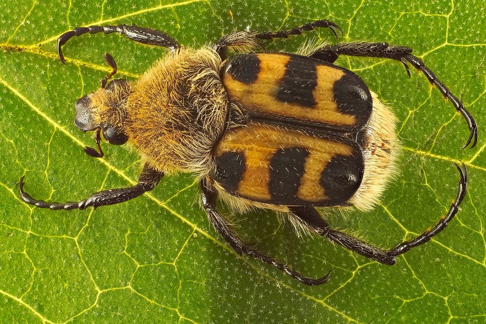 Photograph by Александр Трипольский