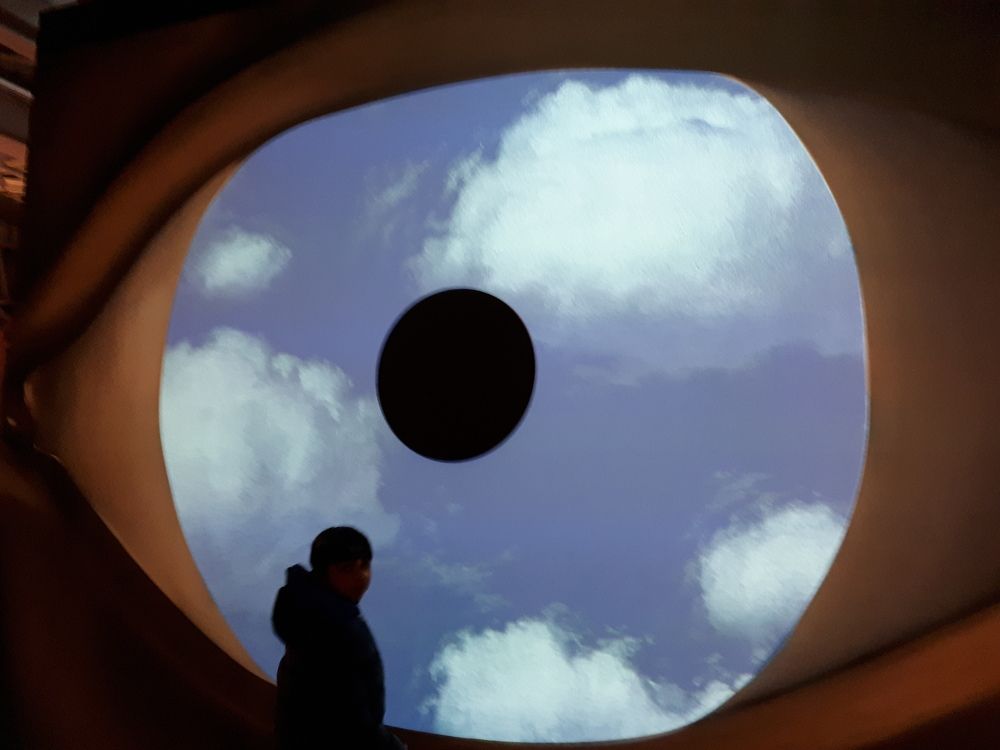 Looking in Magritte's eye