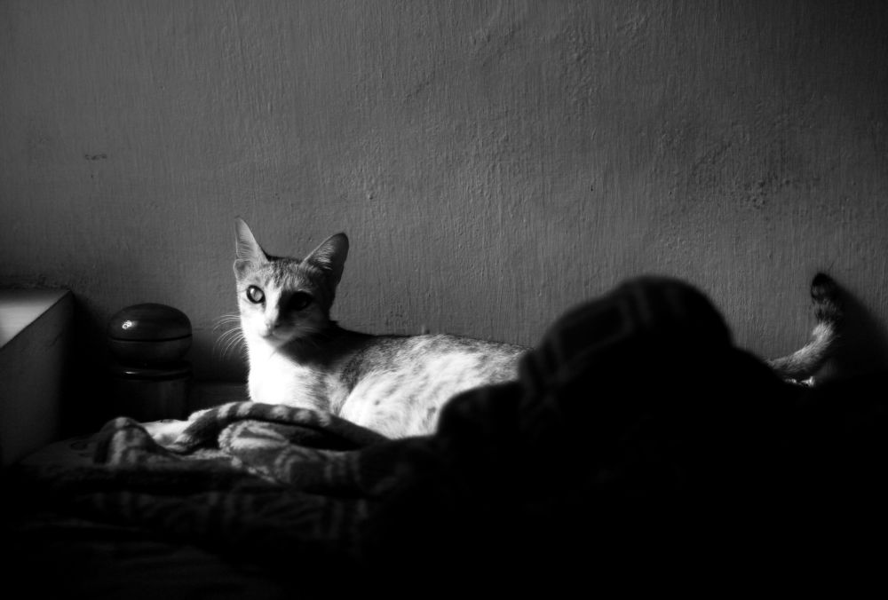 Photograph by Rijas Galleria