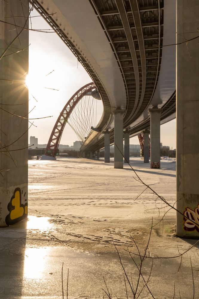 Photograph by Елена Копейкина