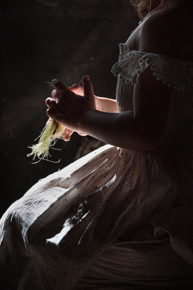 За белым кроликом