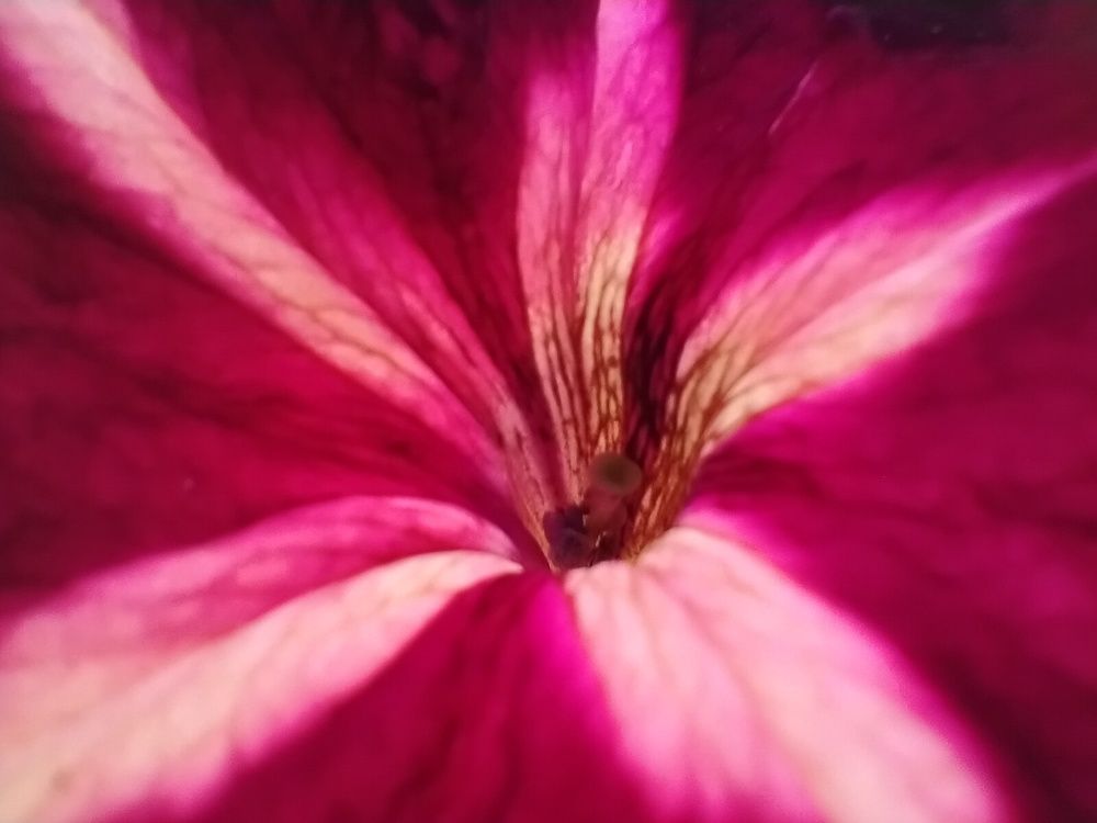 Photograph by Bojan Nikolovski