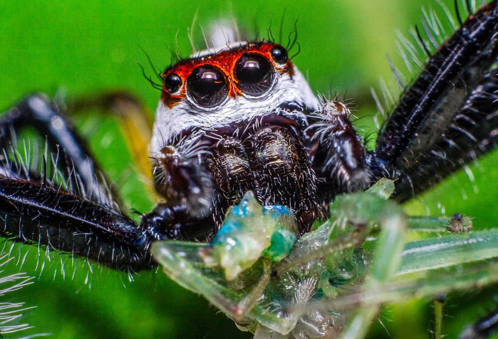 Фотография автора Sasindu Pramuditha