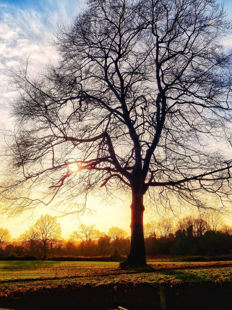 Photograph by Reihan Trandafir