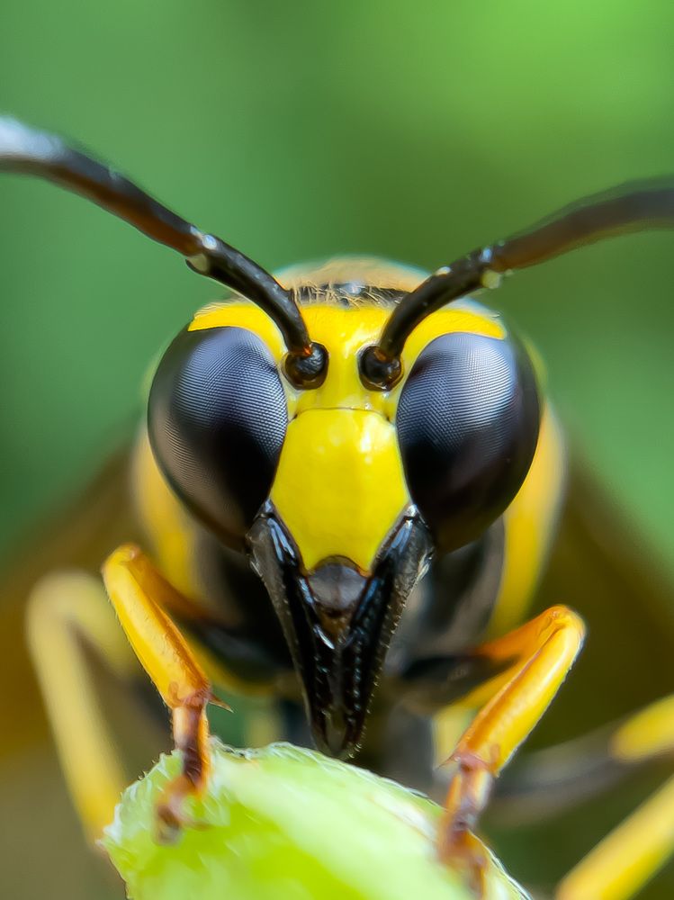 Photograph by Prasanth V