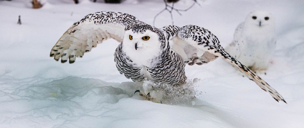 Photograph by Danil Husainov