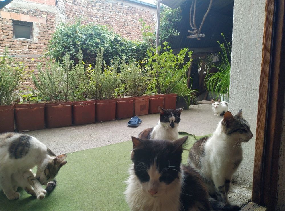 Photograph by Bojan Nikolovski