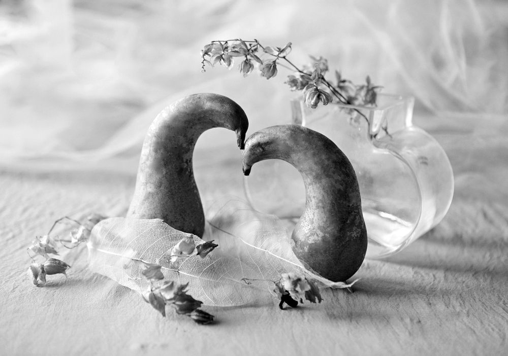 Нежность - тихое слово.