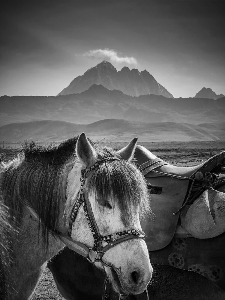 Photograph by Chen Ma