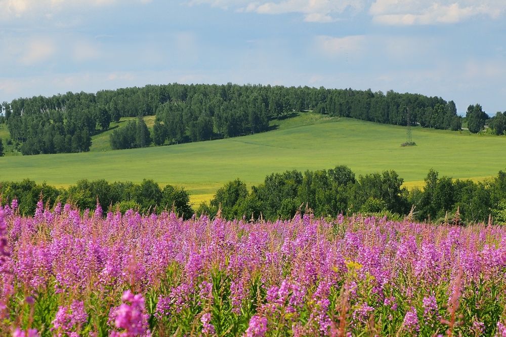 Photograph by Александр Баран