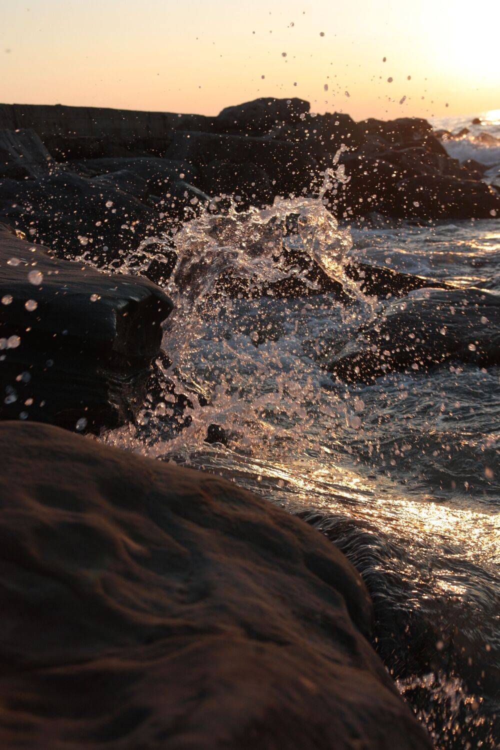 Photo #7387707