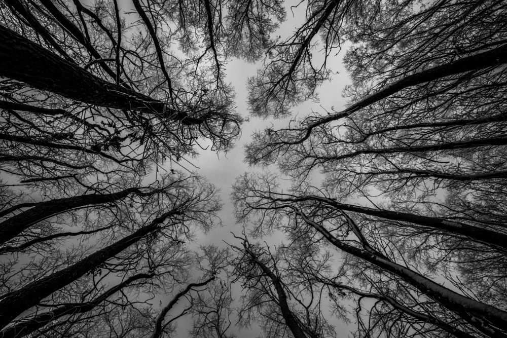 Photograph by Матвей Краузе