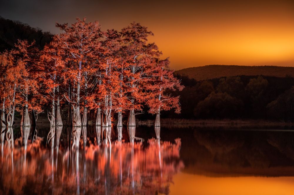 Фотография автора Максим Бессалый