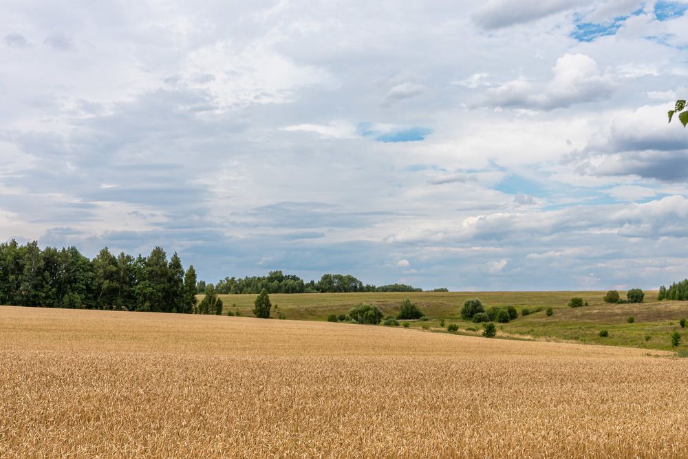 Photograph by Andrey Chernov