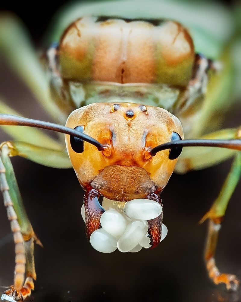 Photograph by Madhan Kumar Balaguru