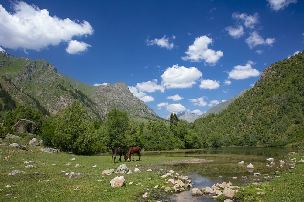 Фотография автора Татьяна Меньшикова
