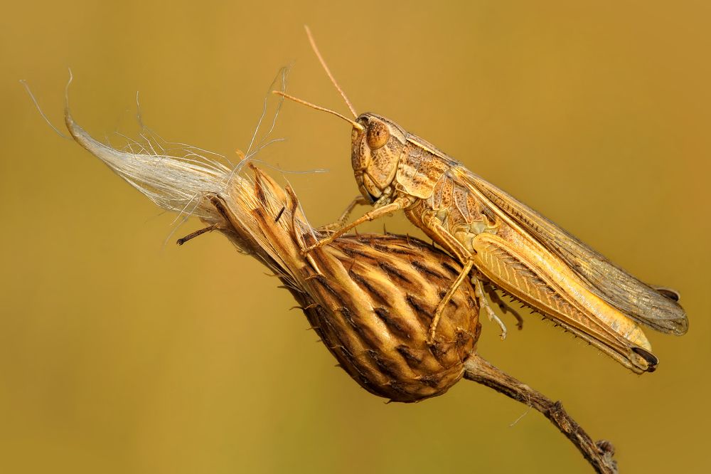 Photograph by Павел Колеснев