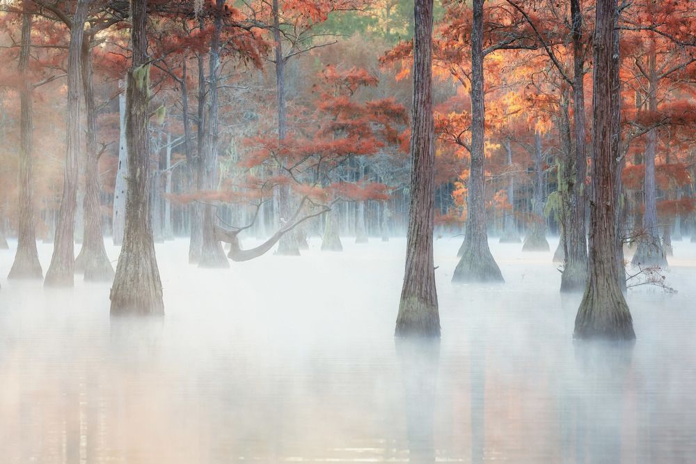 Фотография автора Alex Mironyuk