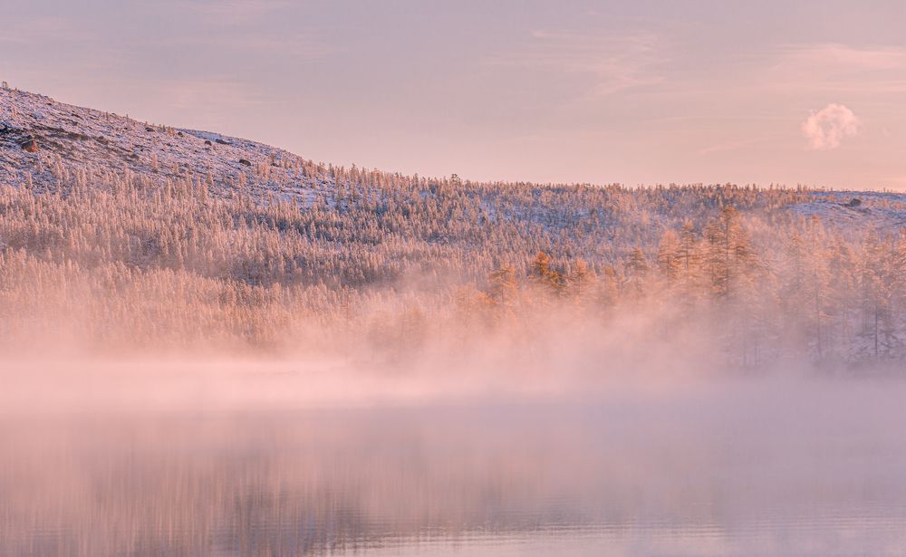 Photograph by Ольга