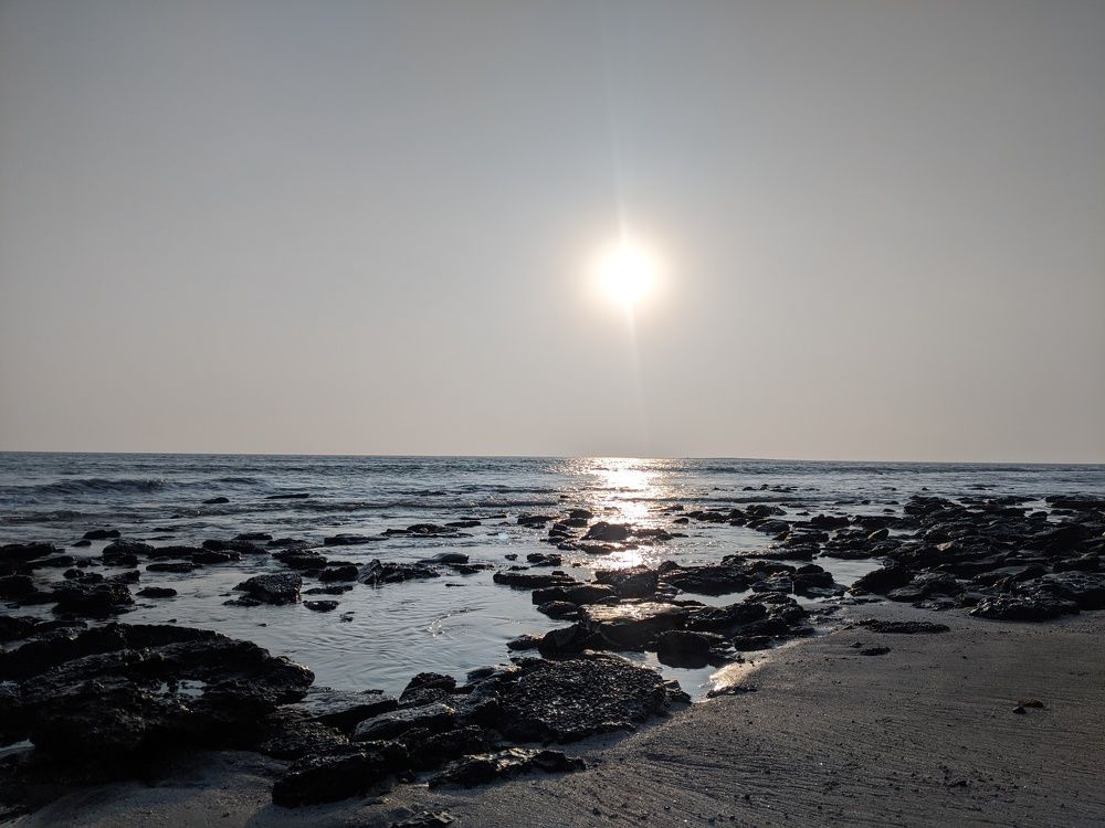 Photograph by Prosenjit Kumar Das
