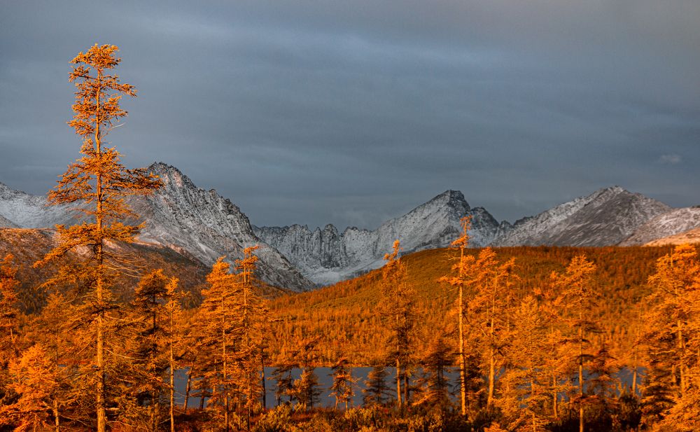 Photograph by Ольга